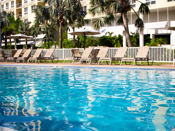 A bright hotel pool surrounded by palm trees and tan lounge chairs, calm blue water reflecting the sunny sky.